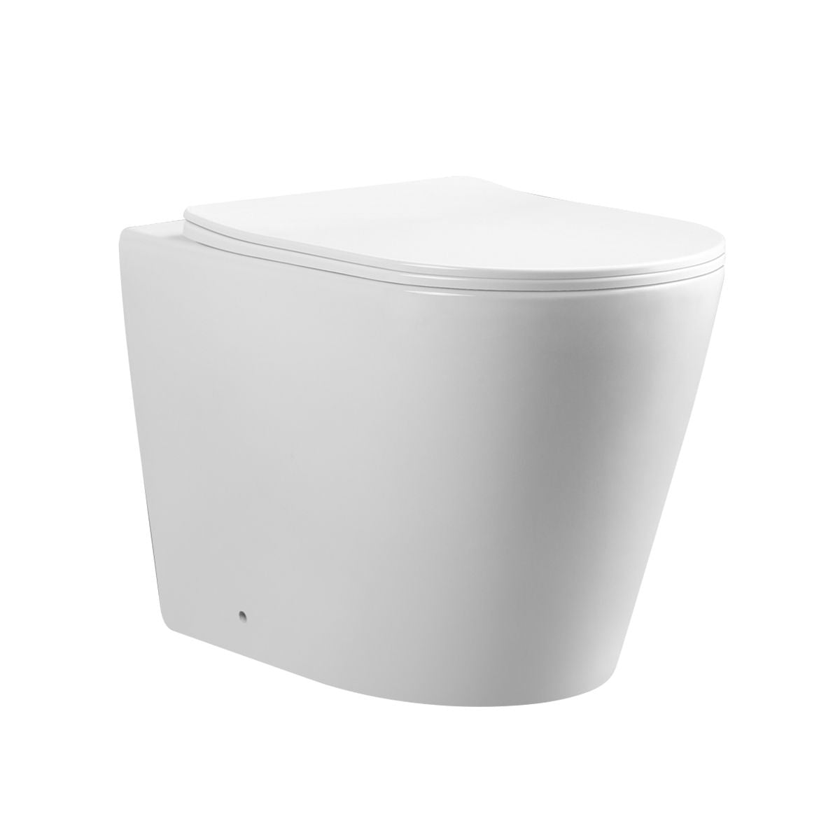 WC SUR PIEDS BLANC WALL HUNG