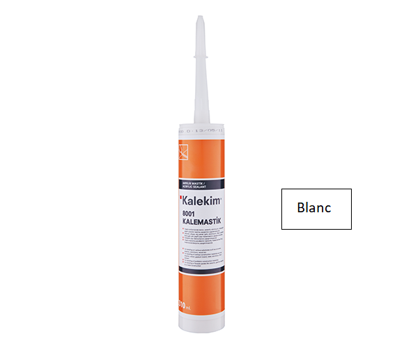 Mastic Acrylique BLANC 310 ML